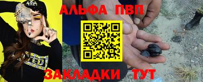 индика Камышлов