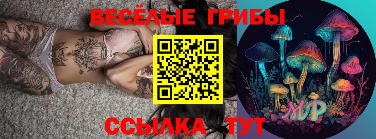 Галлюциногенные грибы мухоморы  Вход с VPN  Кушва 